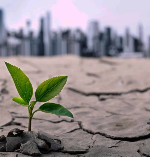 Climate Change